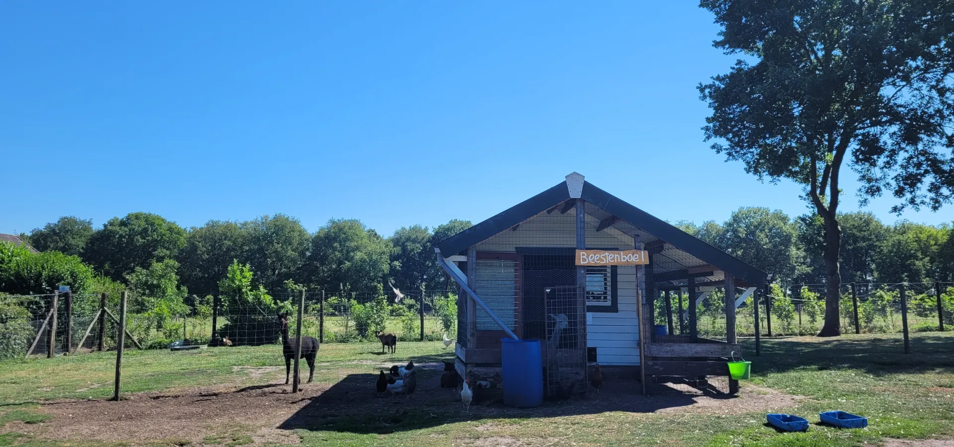 Camping de Holterberg - Dierenparkje