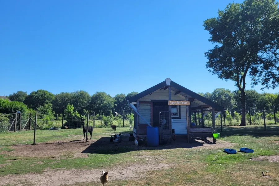 Camping de Holterberg - Dierenparkje