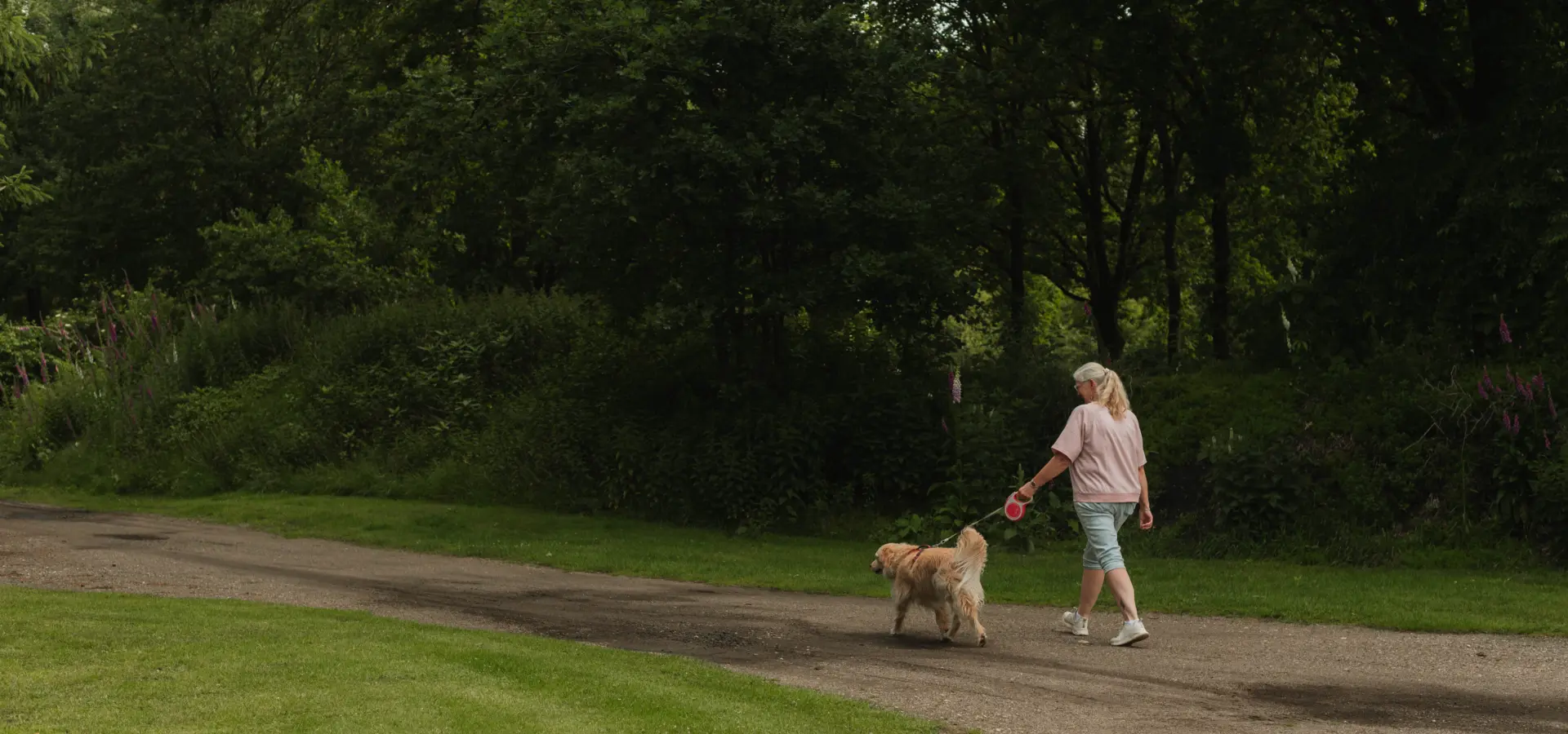 069 camping Holterberg sallandseheuvelrug juni2026 Holly Klein Oonk outdoorphotography