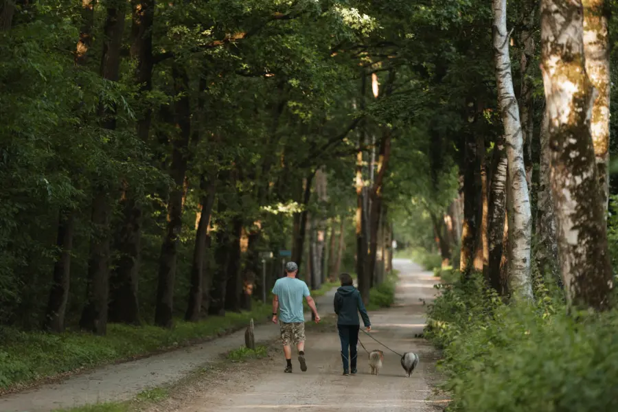 102 camping Holterberg sallandseheuvelrug juni2026 Holly Klein Oonk outdoorphotography Go T