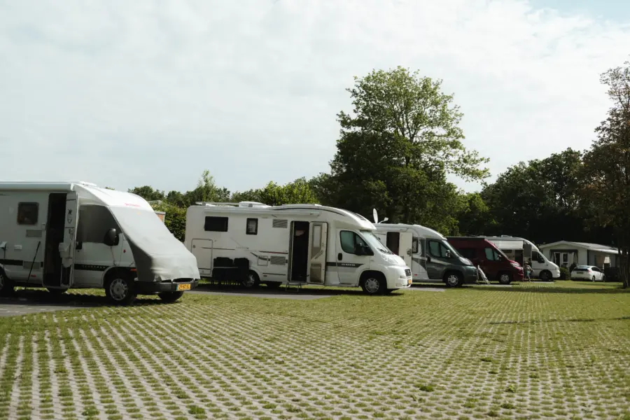 130 camping Holterberg sallandseheuvelrug juni2026 Holly Klein Oonk outdoorphotography