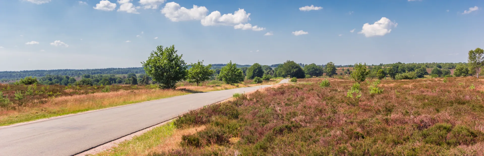 Camping de Holterberg - Sallandse Heuvelrug