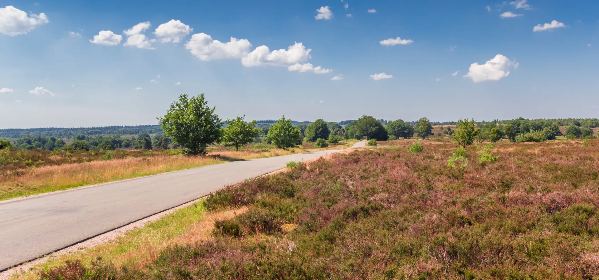 Camping de Holterberg - Sallandse Heuvelrug