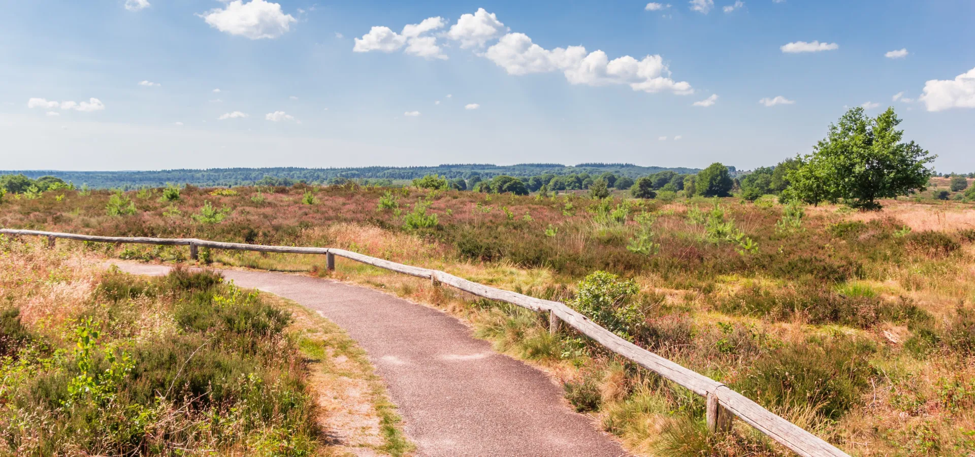 Camping de Holterberg Sallandse Heuvelrug wandelen