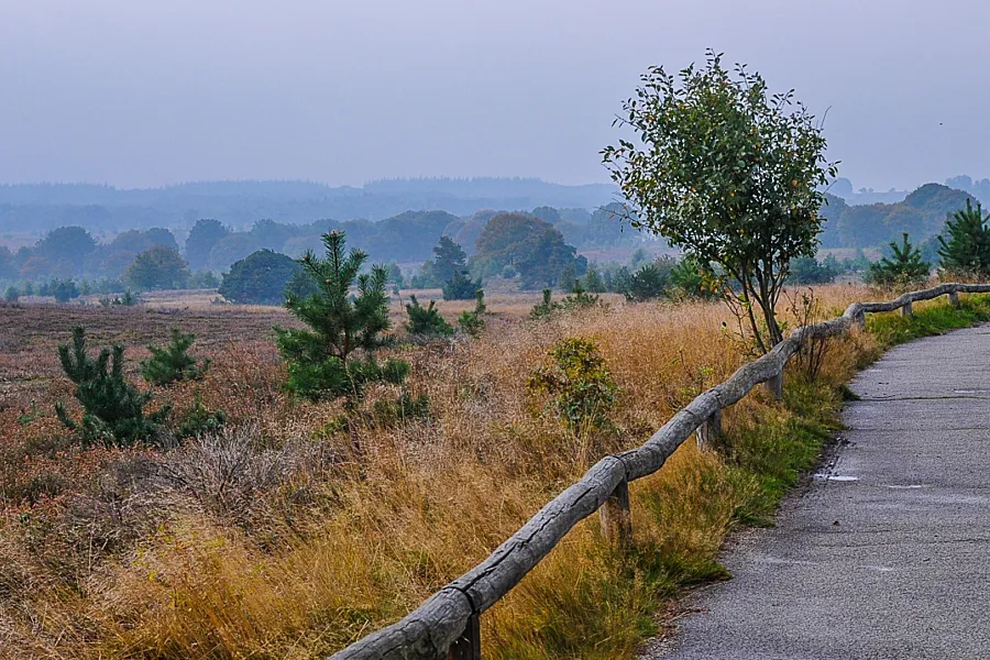 Camping de Holterberg Sallandse Heuvelrug uitkijkpunt