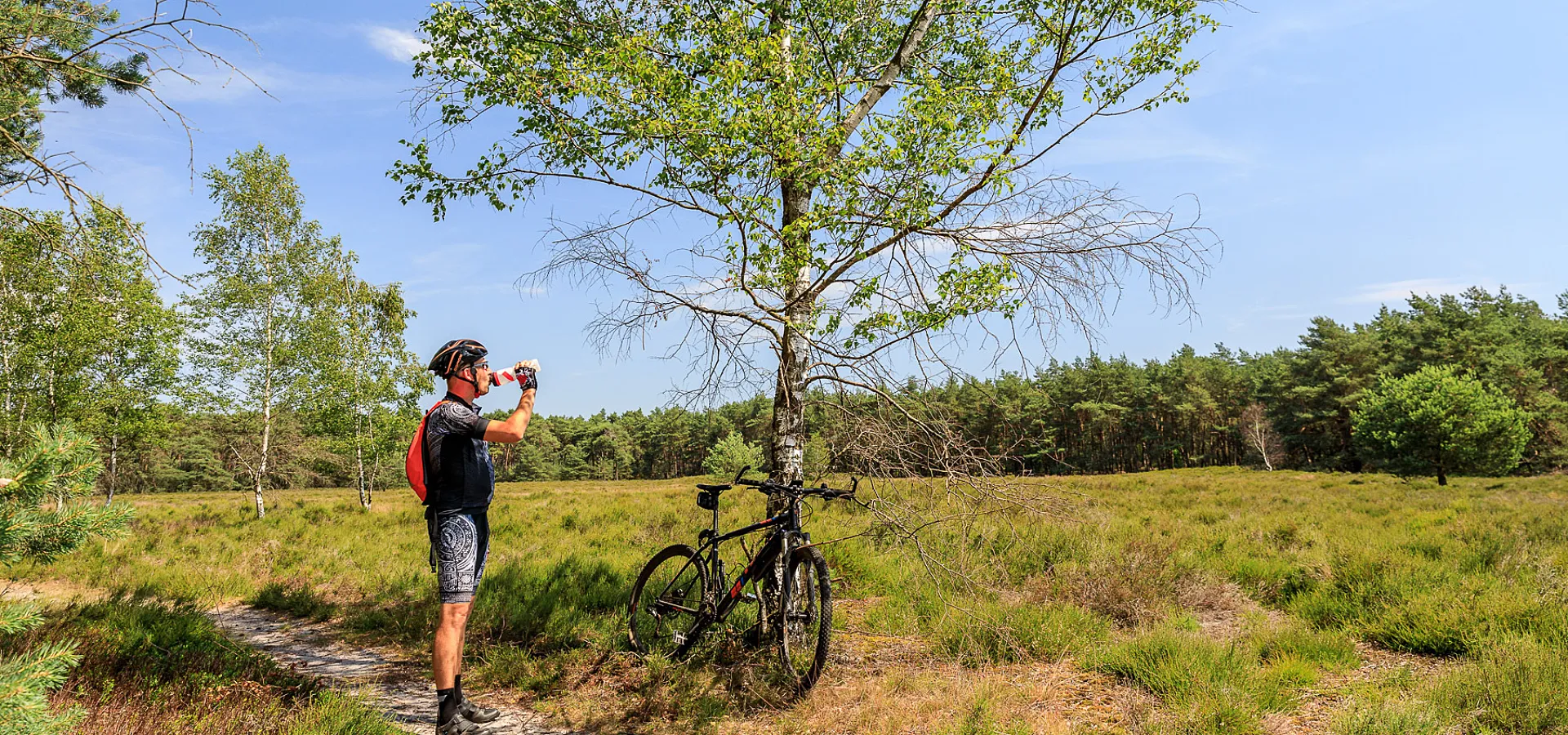 Camping de Holterberg - Fietsen in de natuur