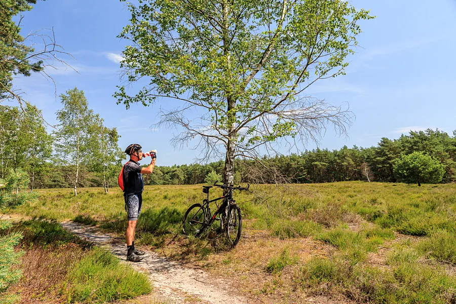 Camping de Holterberg - Fietsen in de natuur