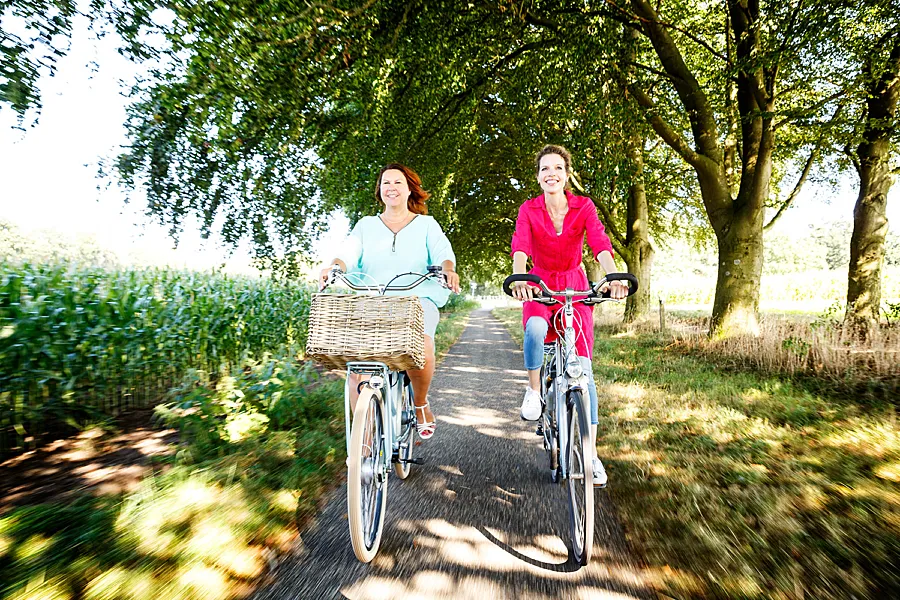 Toerisme Rijssen Holten Fietsen Beukenlaantje